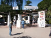 San Diego Old town Fiesta (Mexican Independence Day) 