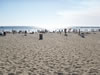 Venice Beach 