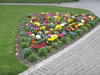Botanical Gardens, Christchurch &ndash; Borders 