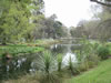 Botanical Gardens, Christchurch &ndash; Avon River, with Punt 
