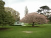 Botanical Gardens, Christchurch 