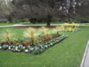 Botanical Gardens, Christchurch &ndash; Behind the Peacock Fountain 