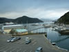 Picton Harbour 