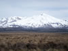 Driving from Wellington to Rotorua &ndash; Views from the desert road 