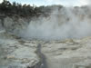 Hell's Gate hot pools 
