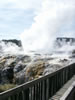 Te Puia geyser, Prince of wales (because of the feather effect) 