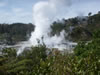Te Puia Geyser 