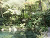Rainbow springs &ndash; Rainbow pool 