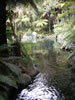 Rainbow springs